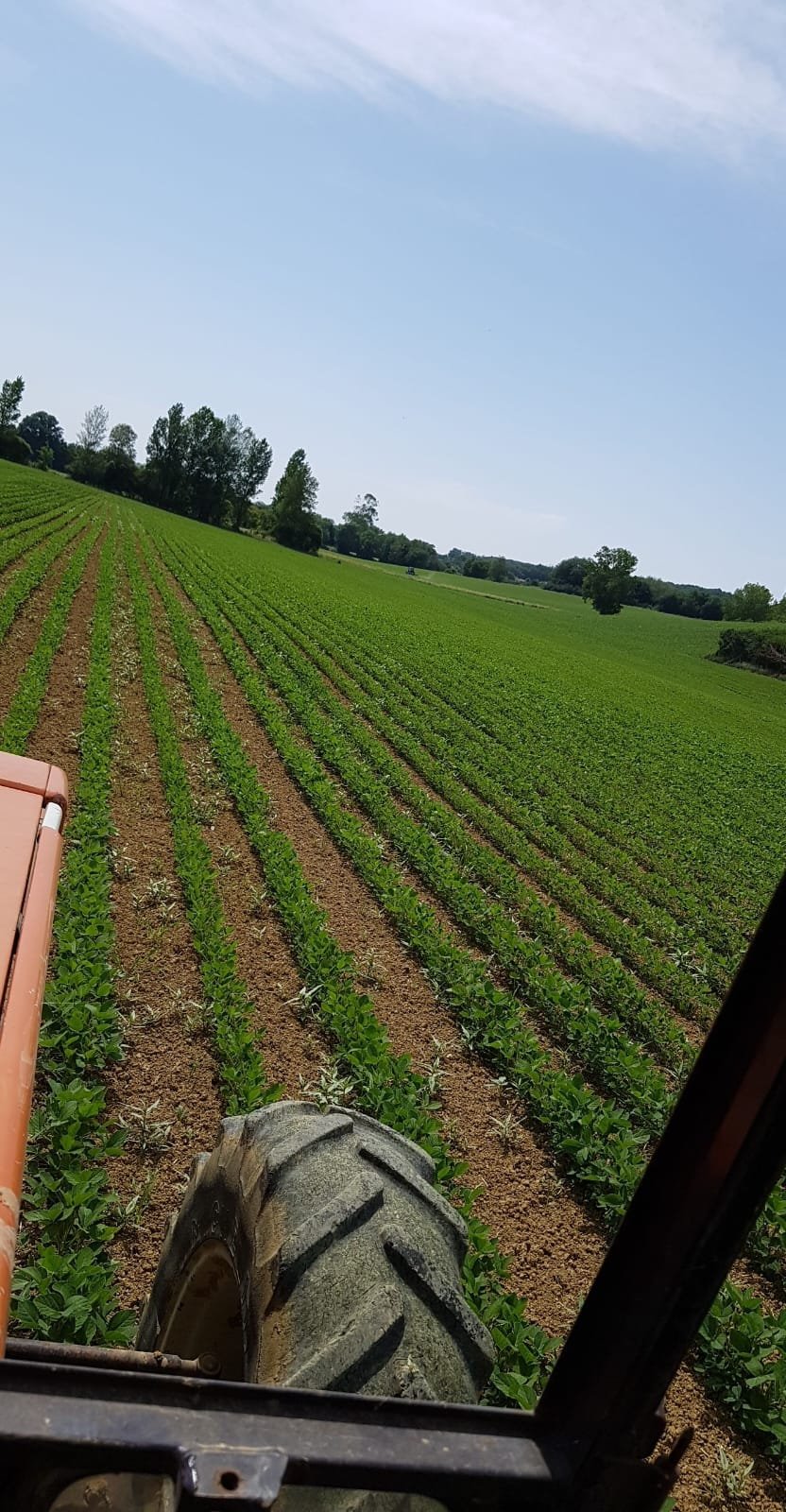 Culture biologique à la Ferme du Hourquet