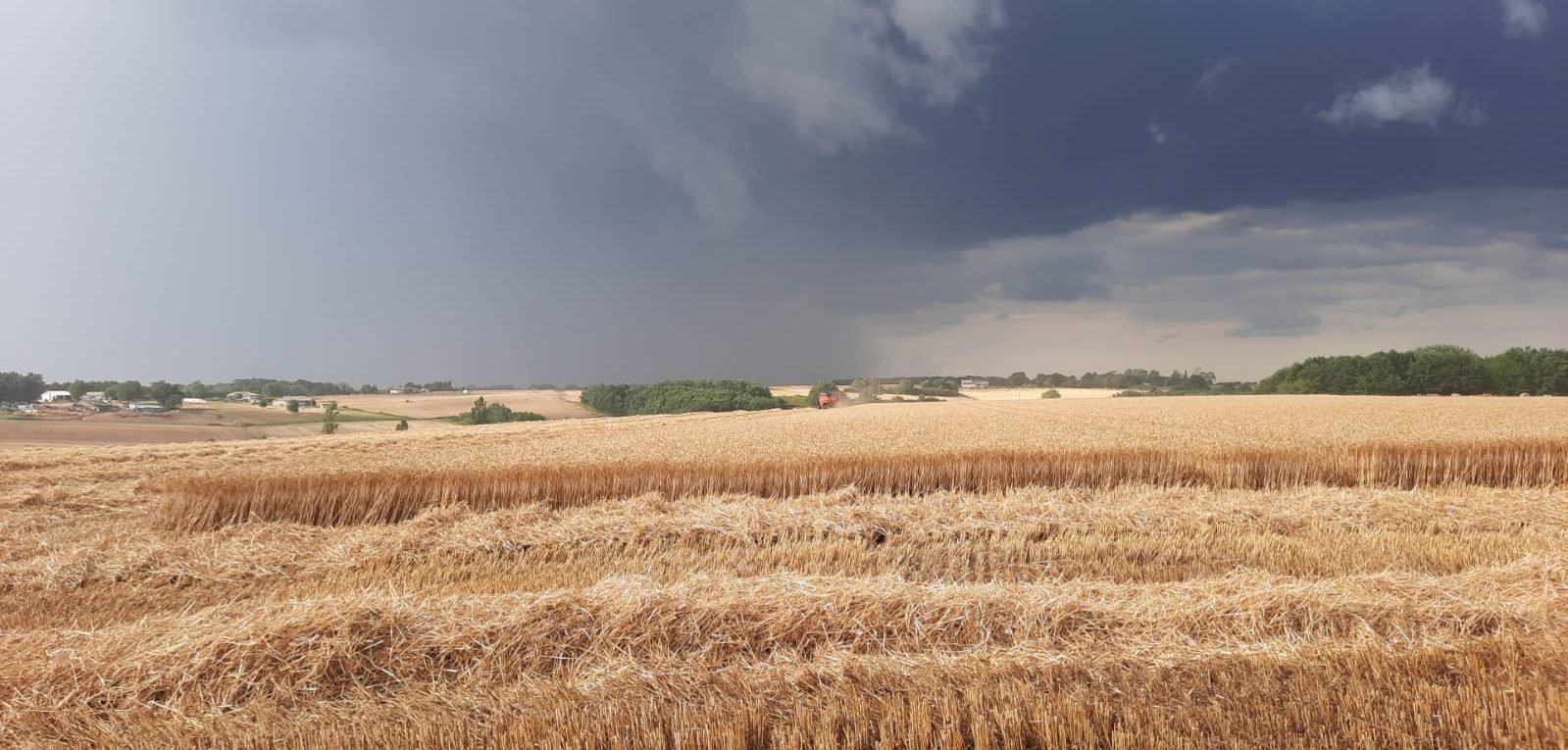 Culture biologique à la Ferme du Hourquet