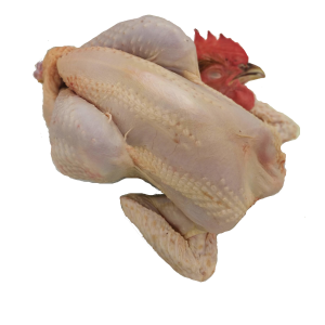 POULET FERMIER PRÊT A CUIRE - 9 € / kg