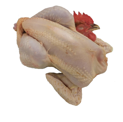 POULET FERMIER PRÊT A CUIRE - 9 € / kg